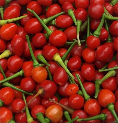 Wiri Wiri Pepper Pods