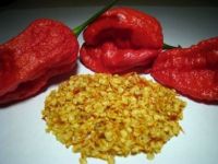 1 Gram / 200 Bhut Jolokia Seeds